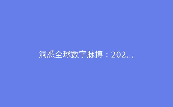 洞悉全球数字脉搏：2024年VPN技术演进与网络安全资讯全解析 - 3