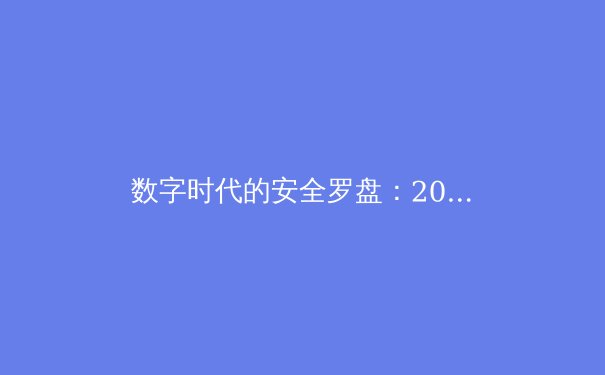 数字时代的安全罗盘：2024年VPN行业深度洞察与趋势前瞻 - 4