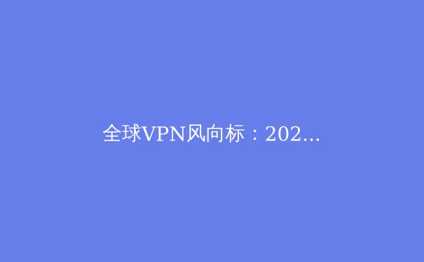 全球VPN风向标：2024年隐私保护技术演进与企业级应用新趋势