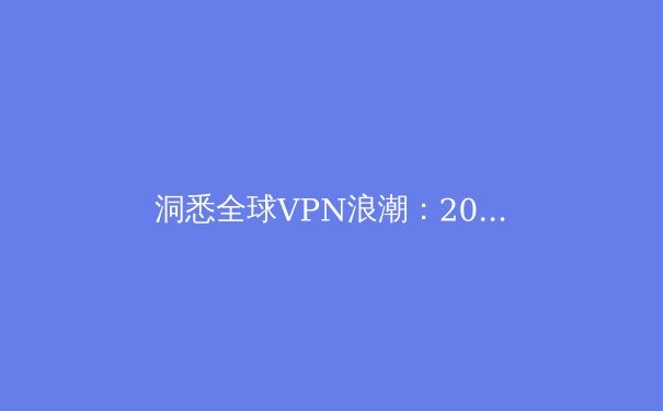 洞悉全球VPN浪潮：2024年隐私保护、跨境连接与法规新动态深度解析 - 3
