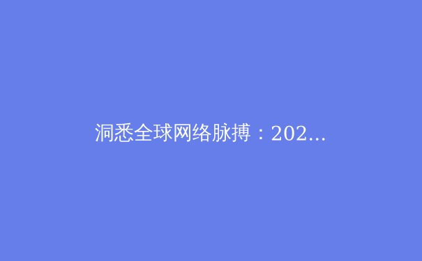 洞悉全球网络脉搏：2024年VPN技术与网络自由趋势深度解析 - 3